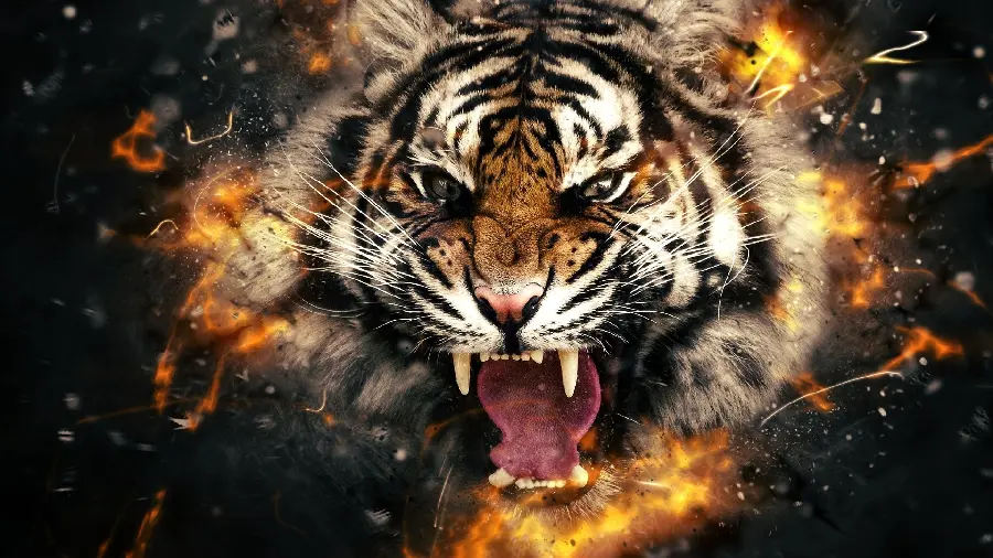 Tiger Photo for Background