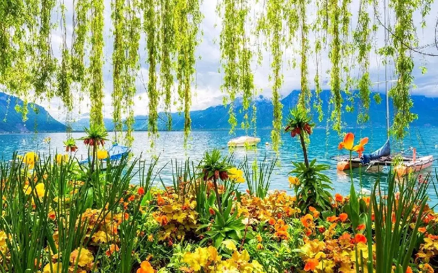 Free Download Spectacular Spring Beach Wallpaper