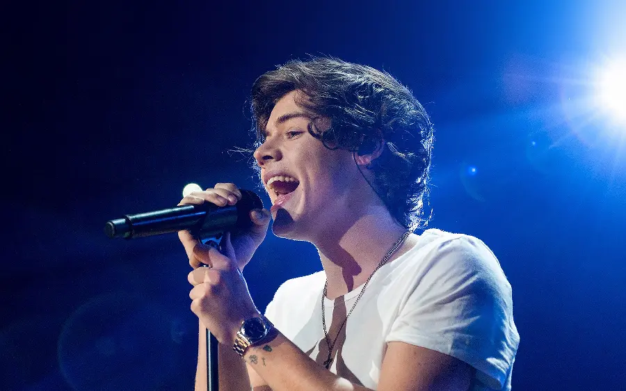 Singer and songwriter Harry Styles in an artistic look