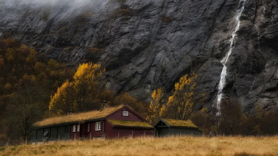 The latest profile photo of nature with Full HD quality