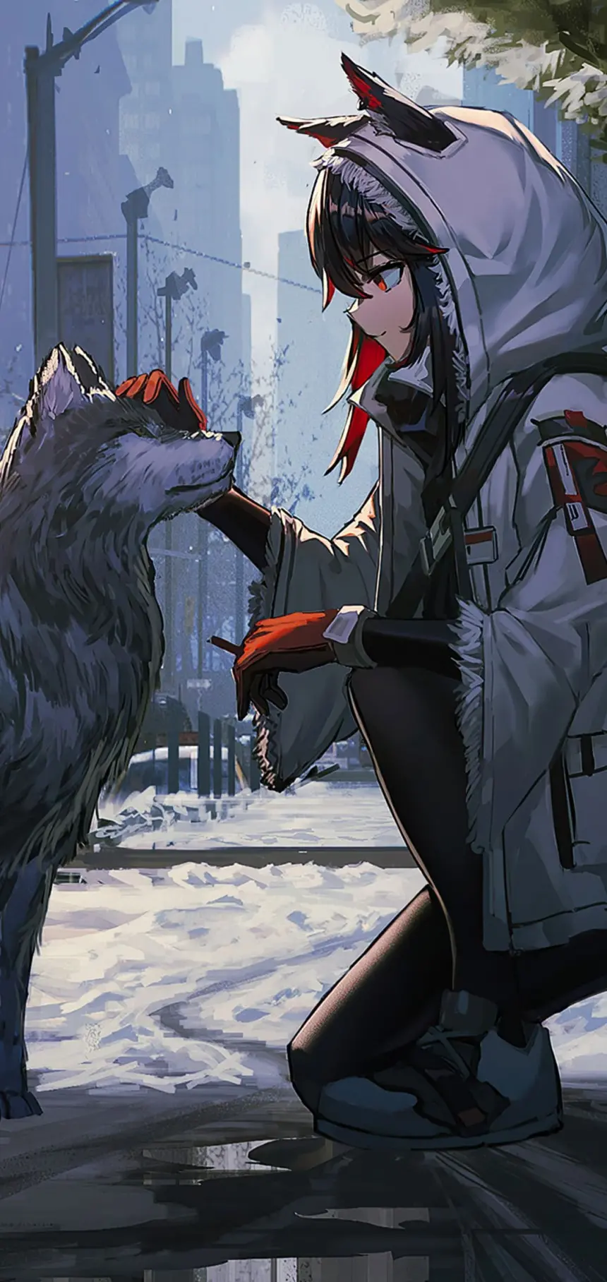 Amazing background photo of a friendship between an anime girl and a wolf in HD quality