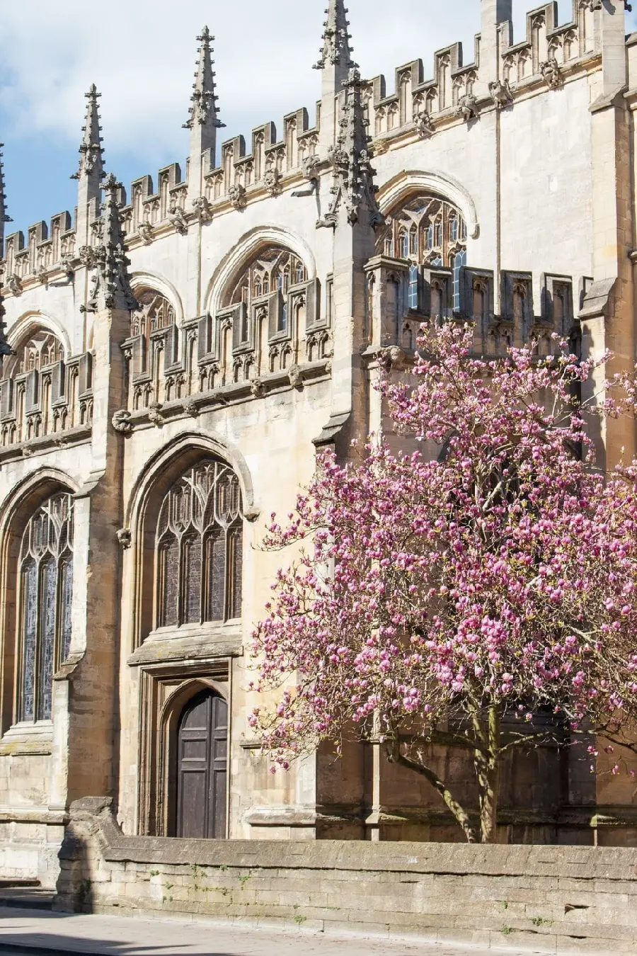 The most beautiful profile of Oxford University with a pink blossoming tree