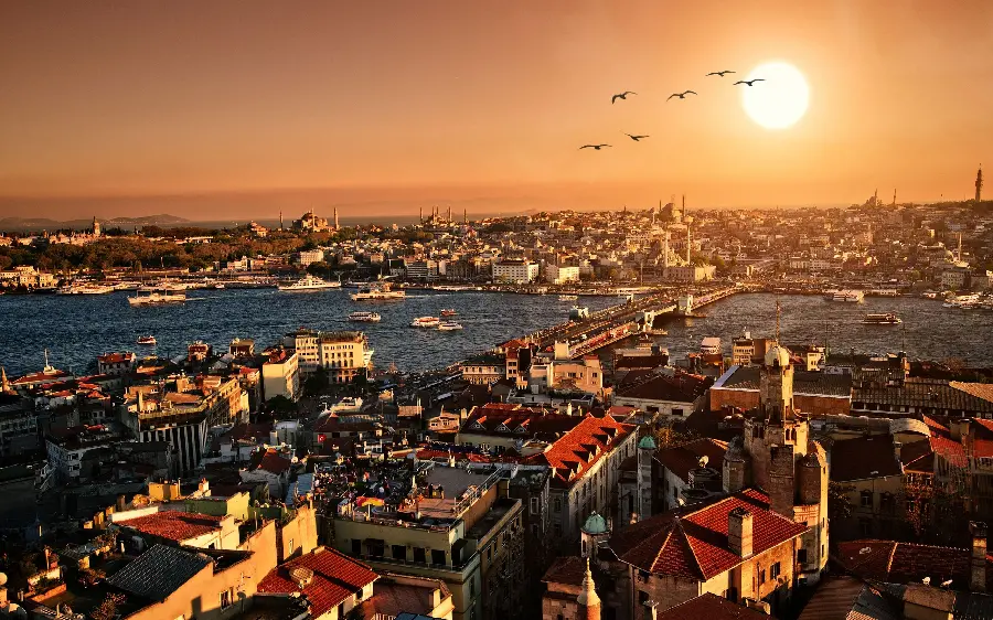 Amazing wallpaper of sunset with beautiful birds in the sky 