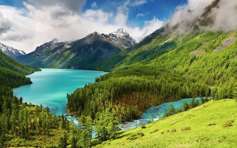 Canada Lush Nature Photo