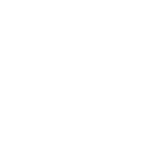 White Instagram logo without background