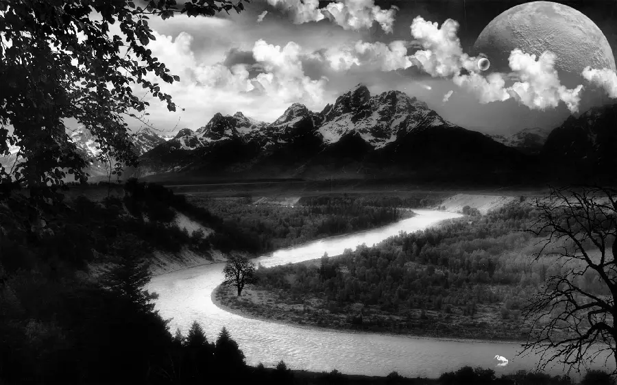Nature Photo with Beautiful Black and White Effect