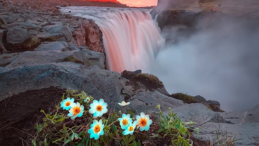 Download new wallpaper of flowers and waterfalls for computer