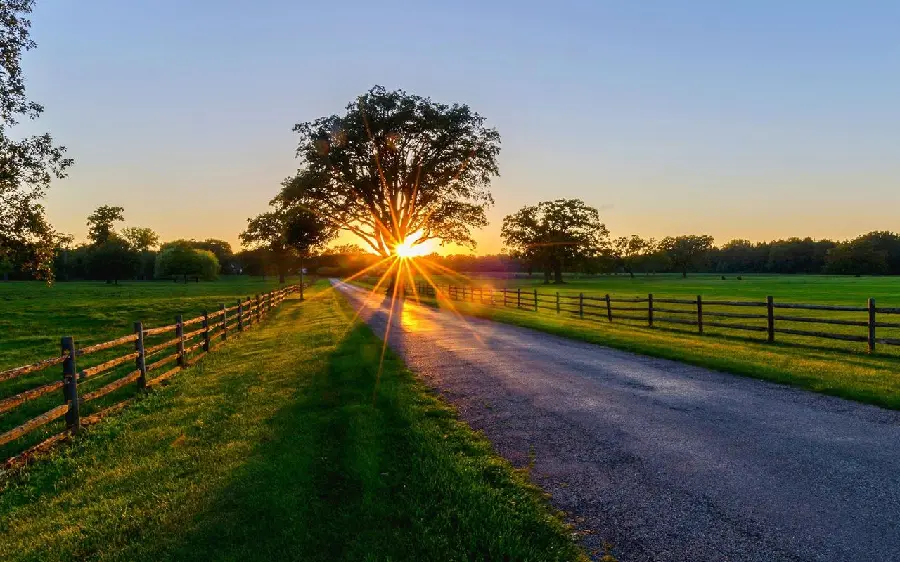 High Quality Spring Morning Background for Tablet