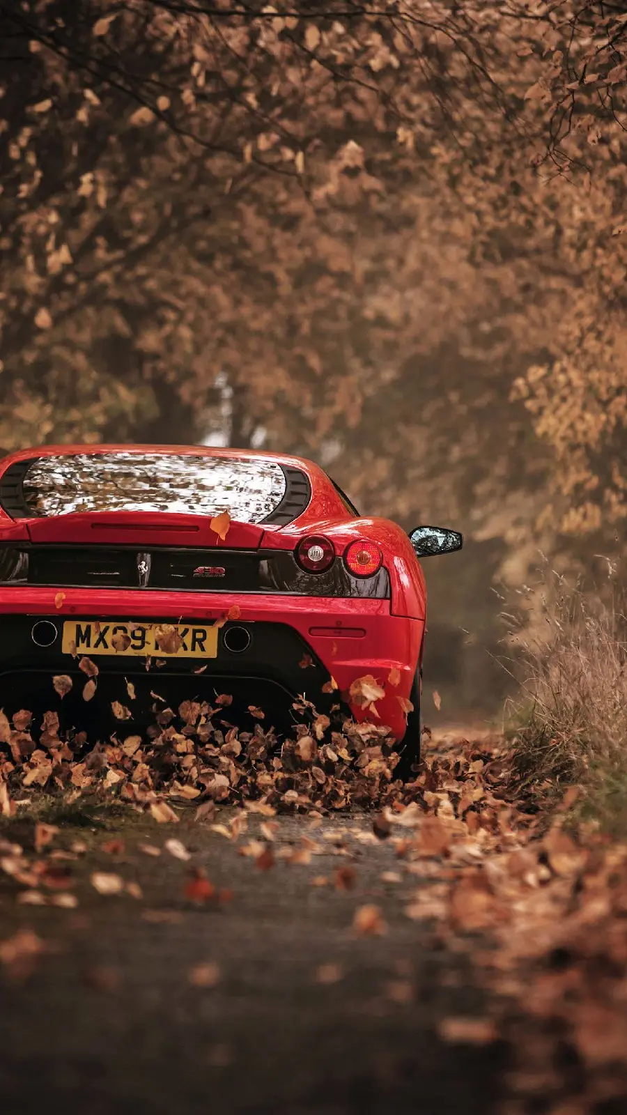 Autumn photo of Ferrari and tree leaves