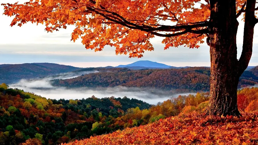 High quality autumn wallpaper for Windows