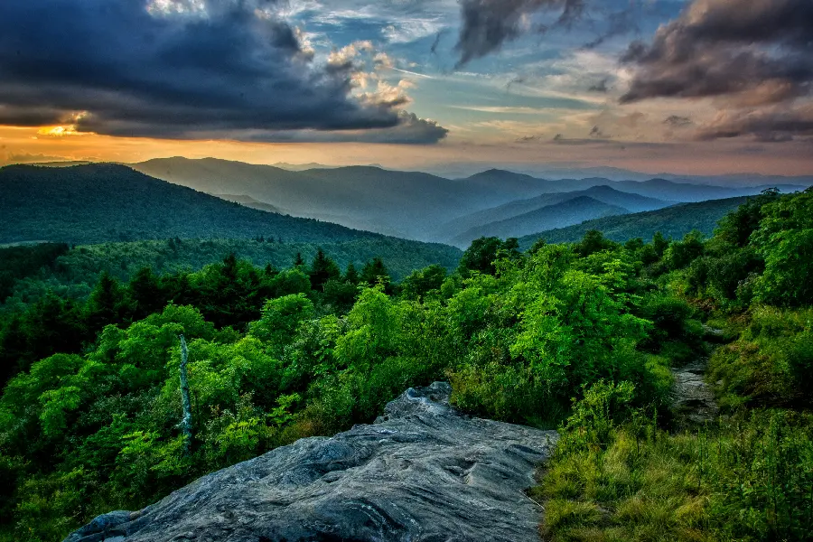 The most beautiful photo of pleasant green nature for high-quality printing 