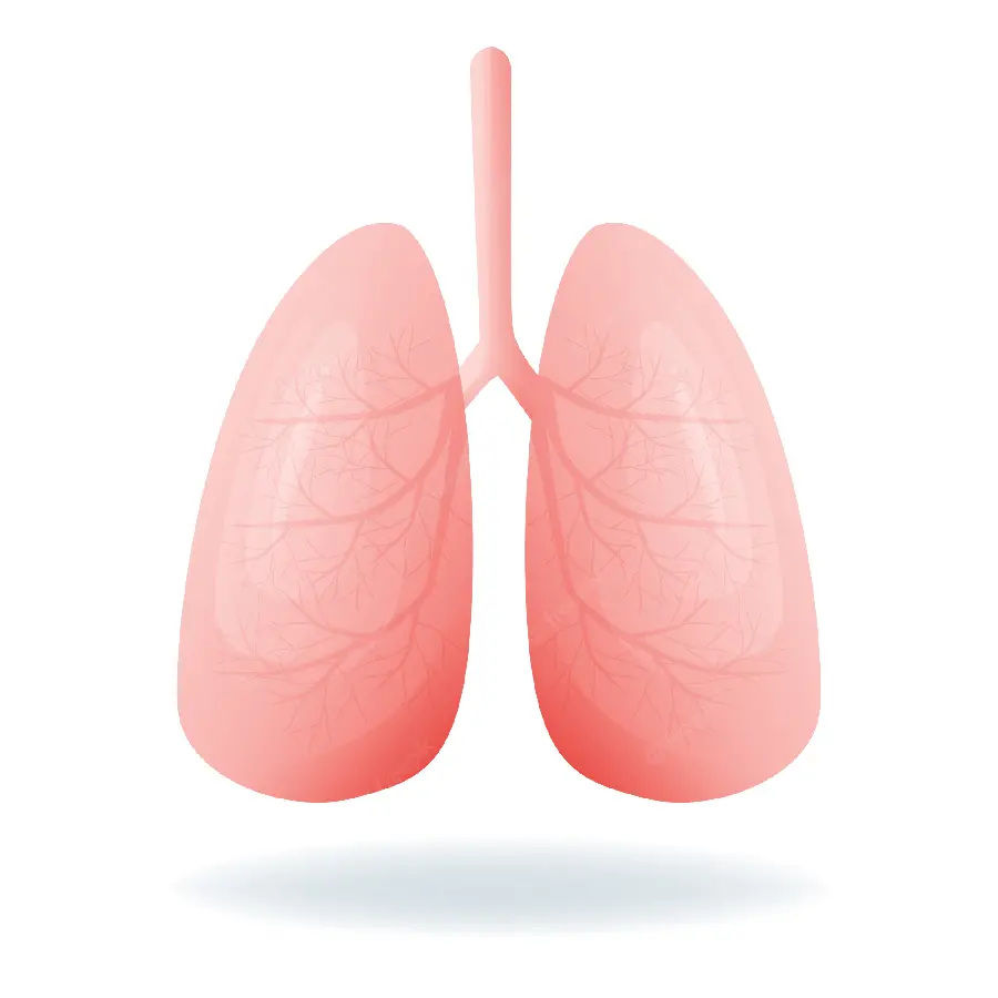 Human Lung Profile Picture for Social Media