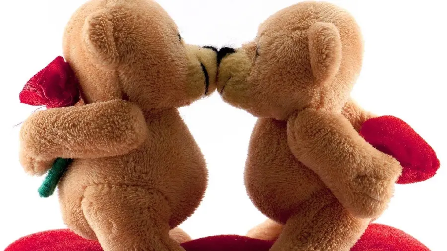 Lovely background of two cute bears kissing for Windows 11