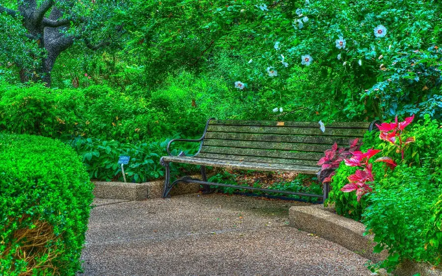 Spring computer background with an interesting bench design in the park
