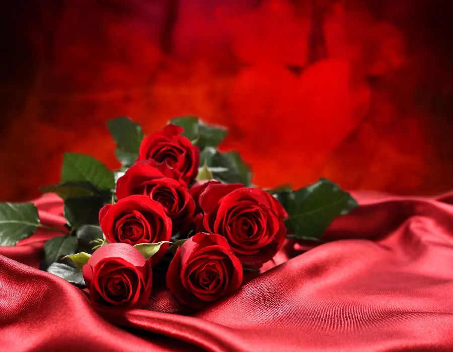 Free download of romantic laptop background of red roses
