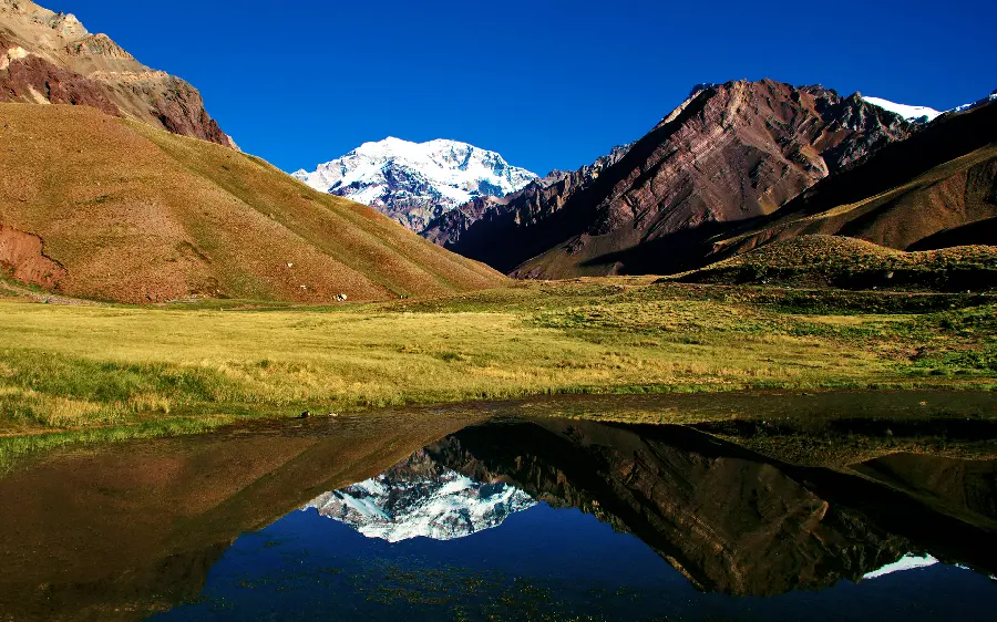 Download Free photo of nature reflection in water suitable for printing a picture