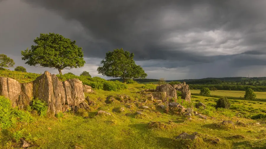 A charming photo of green trees and a cloudy sky with excellent quality