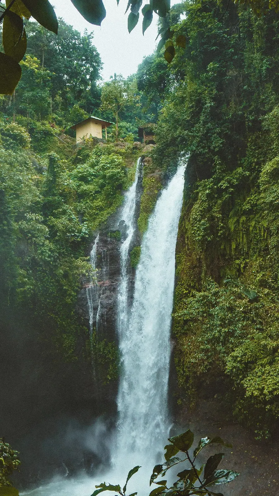Special Telegram Profile Picture with a Dreamy River in the Forest