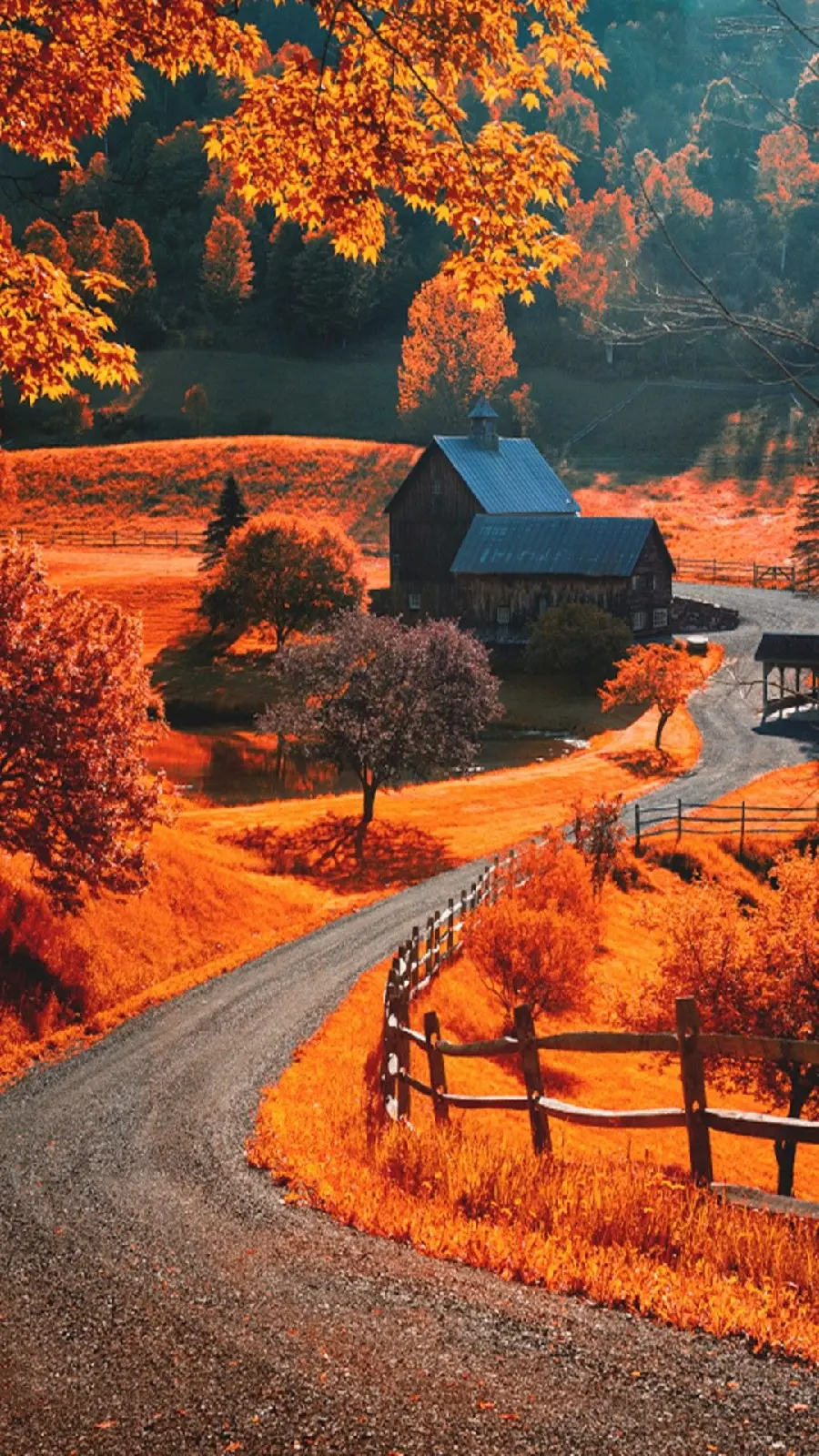 High Quality Autumn Wallpaper for Mobile
