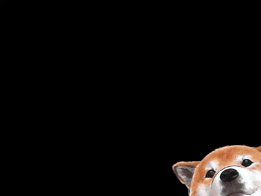 Download PNG without background of a little dog in the corner of the frame