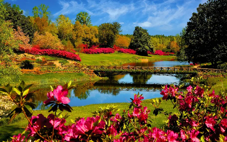 Lovely Spring Wallpaper