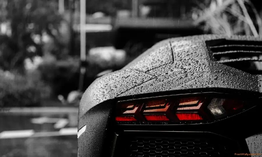 Black Lamborghini Rear View Background