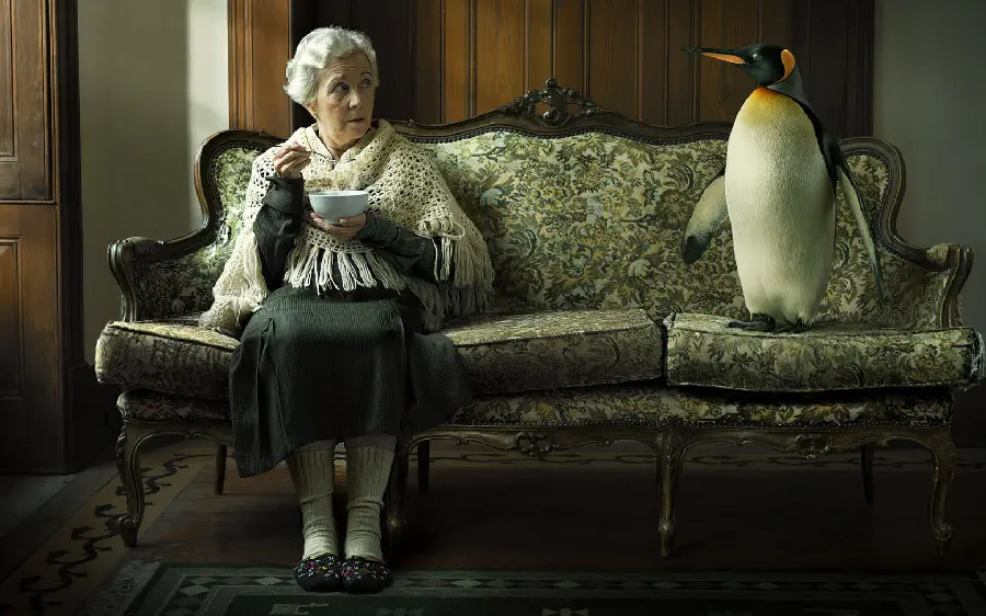 Cool Full HD Picture of Penguin and Grandma at Home