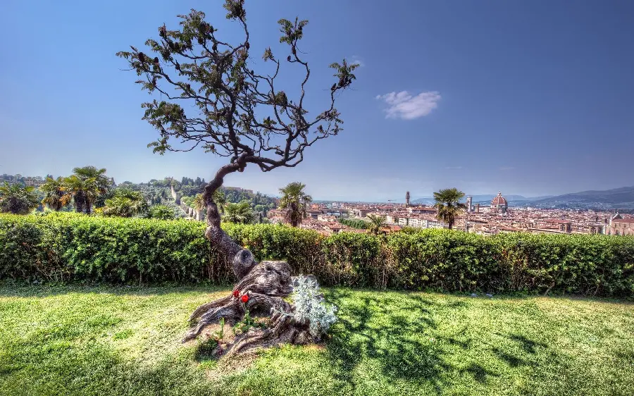 Spectacular wallpaper of the nature of a tourist city with a pleasant climate