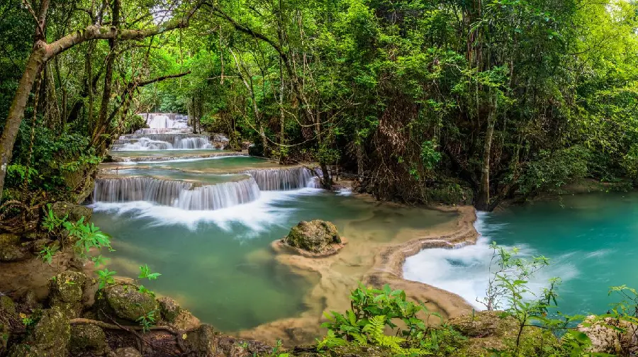 Ideal and Captivating Nature View of River and Forest Together