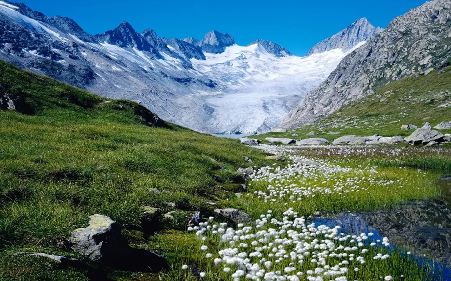 FULL HD photo of the beginning of spring in Switzerland