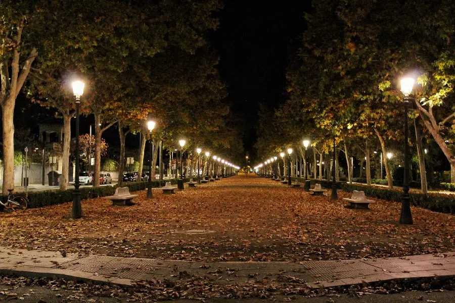 Endless Lonely Street in an Interesting Artistic Frame