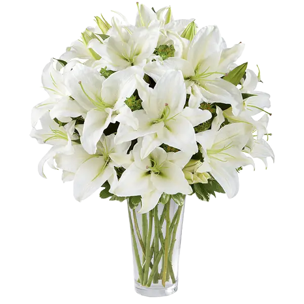White lily or lily bouquet png image quality