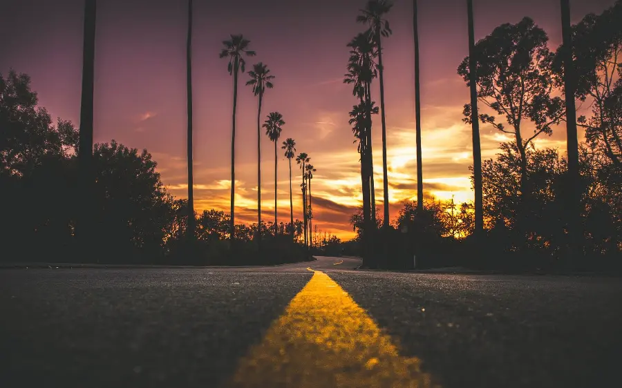 Indescribable photo of the road and sunset