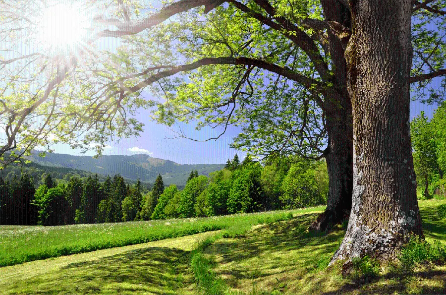 Spring wallpaper of the nature of the Czech Republic