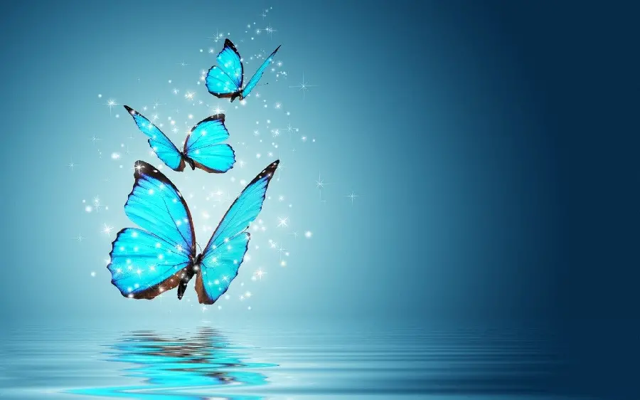 High quality blue butterfly wallpaper