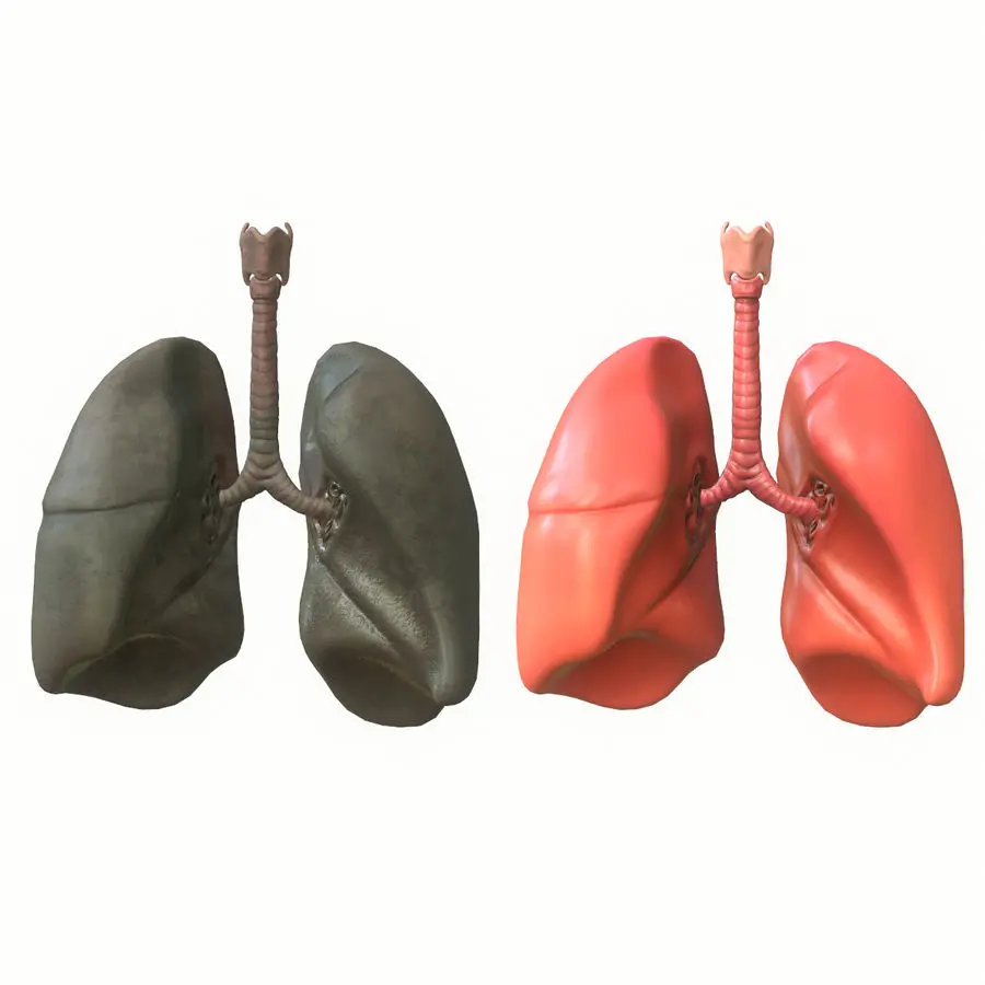 Healthy and unhealthy lung photo