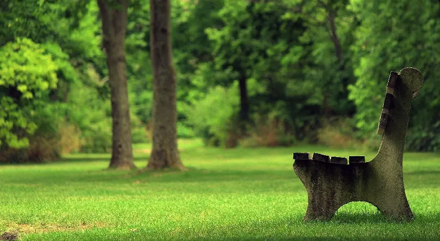 Download background of an empty bench in the park Spring Green 8k