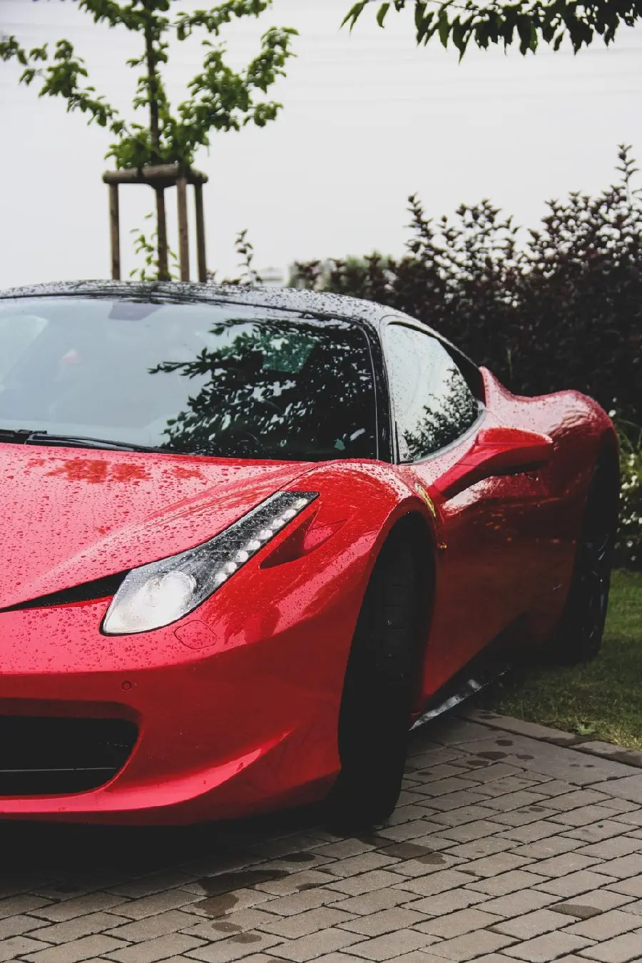 Amazing car wallpaper of Red sports car next to beautiful trees 