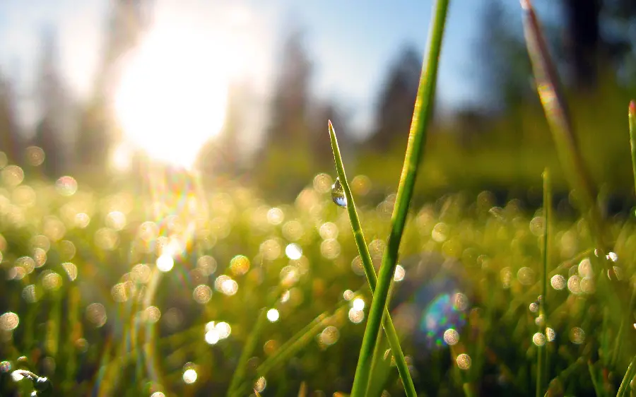 Beautiful and best quality spring profile photo