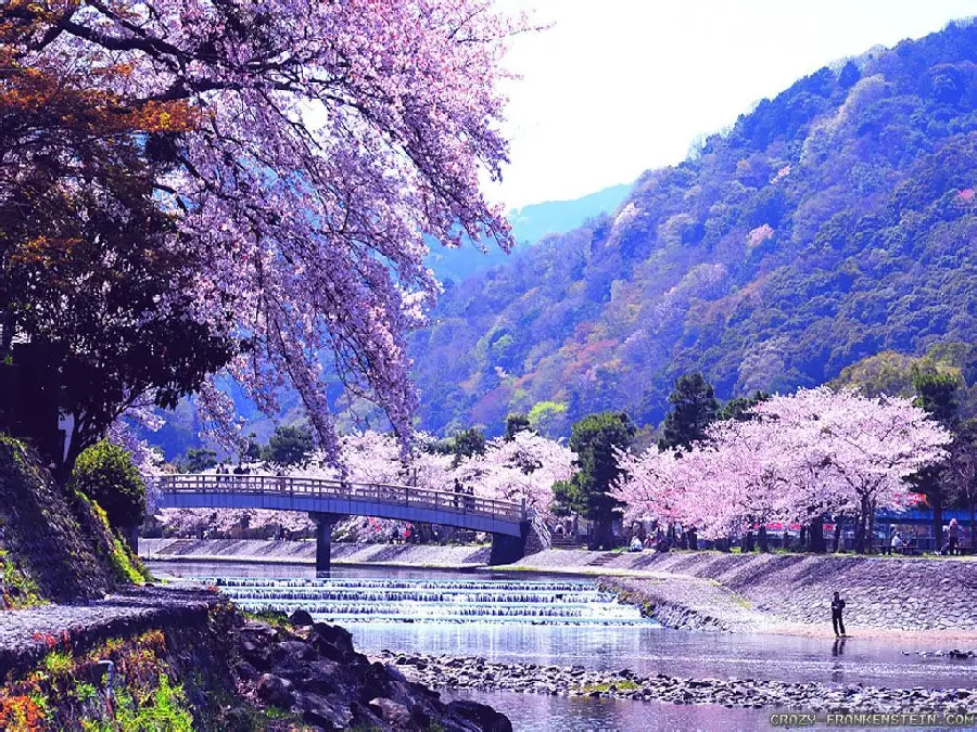 Photo of spring nature in Japan