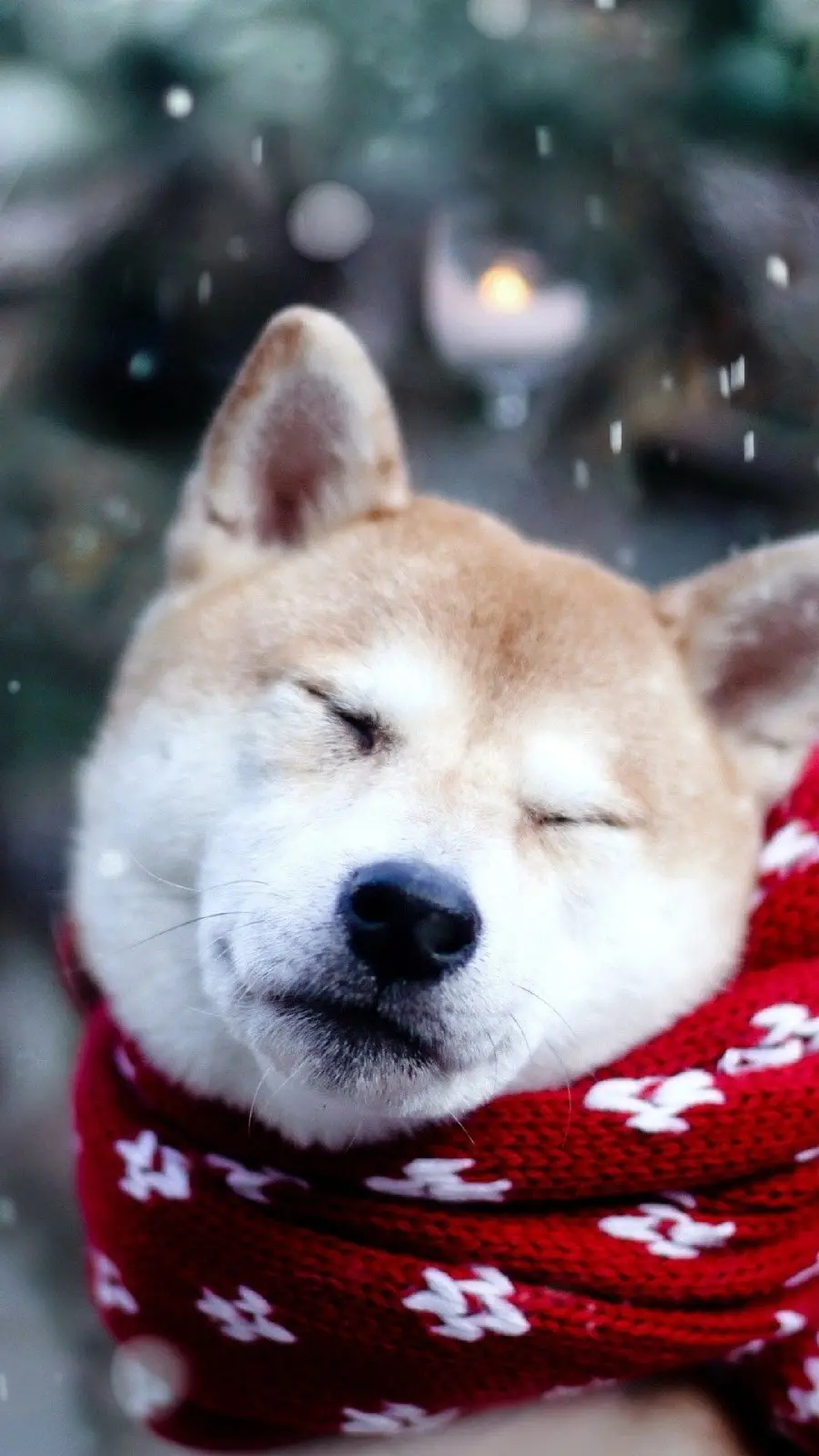 Cute Dog Background with Red Scarf in Snowy Weather