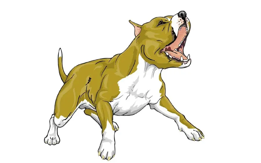 Big, stocky dog ​​photo for 8k quality painting idea