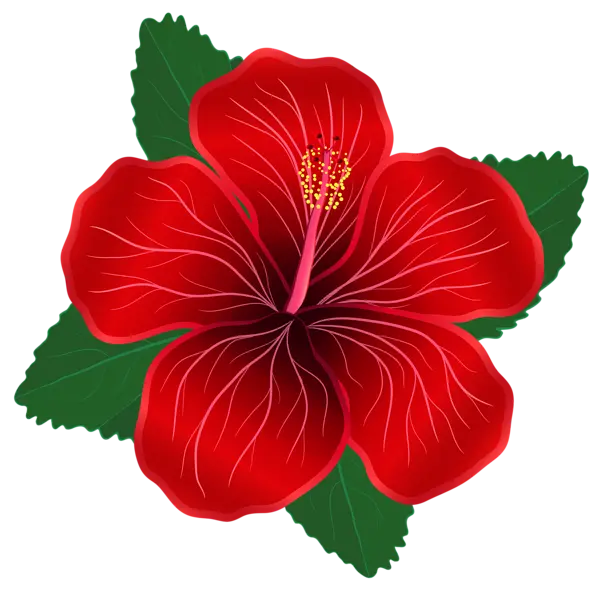 Red flower png with green leaves teleported high quality