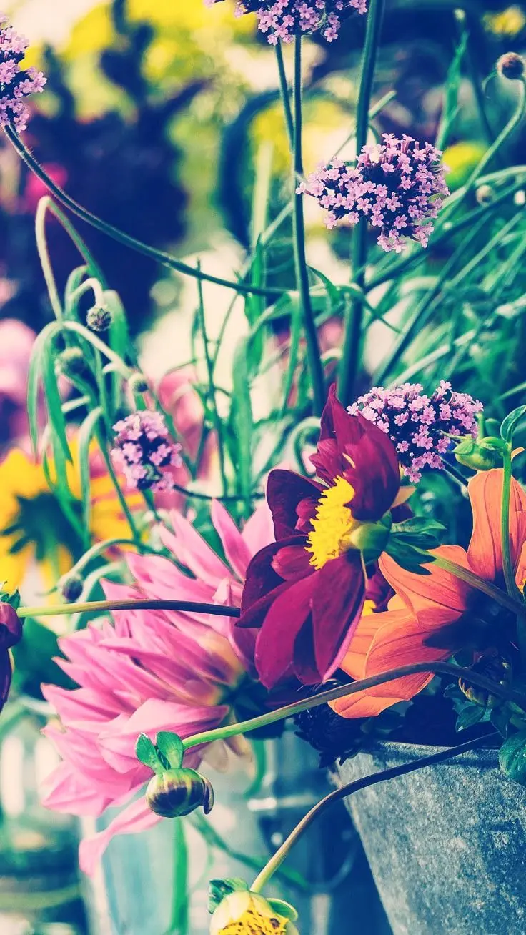 The latest artistic photo of the spring season suitable for Rubika's profile 