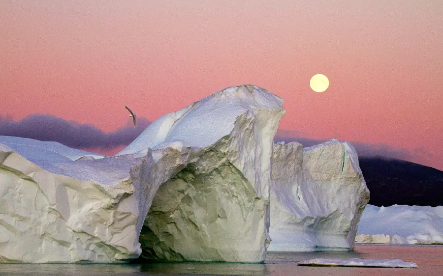 Wallpaper Interesting sunset and beautiful eagle in the sky with glaciers