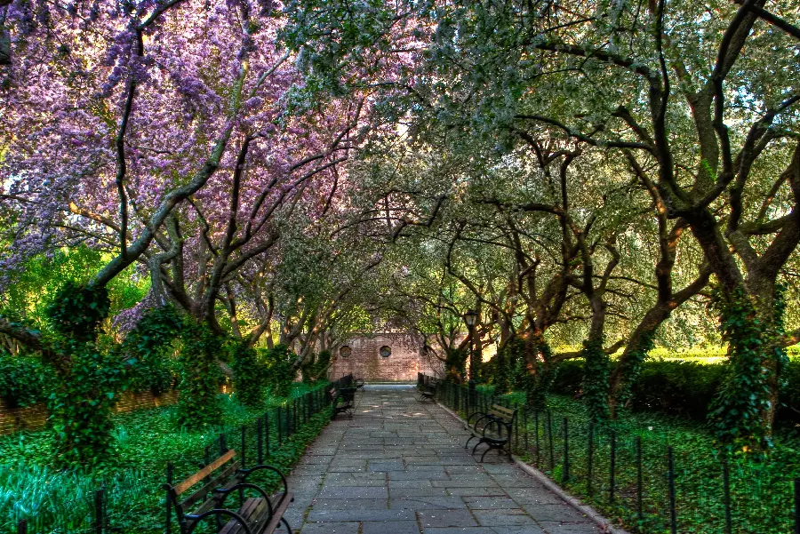 Cozy spring park photo in the shade as a laptop wallpaper 