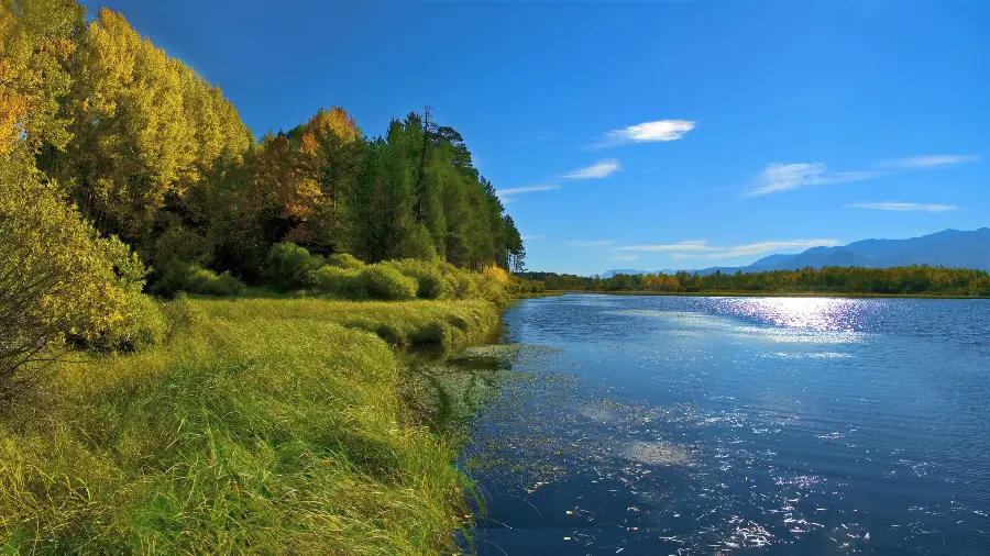 Interesting image of dreamy and green nature with high quality 