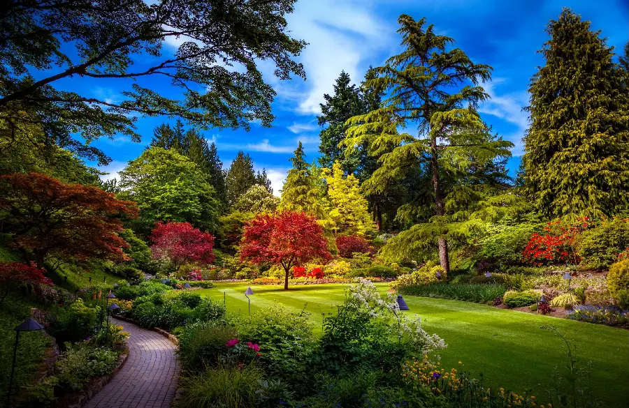 New spring season image in the park with unique plant texture 