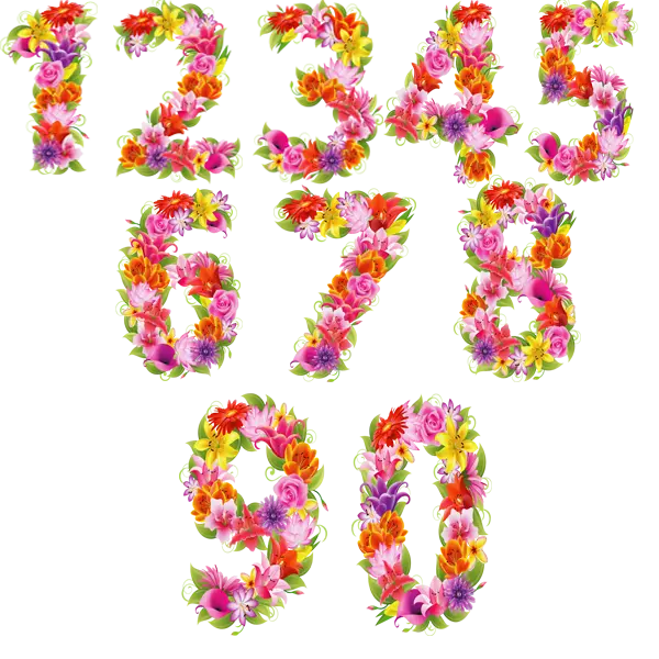 Photo of Math Numbers 1 to 9 with Spring Flowers
