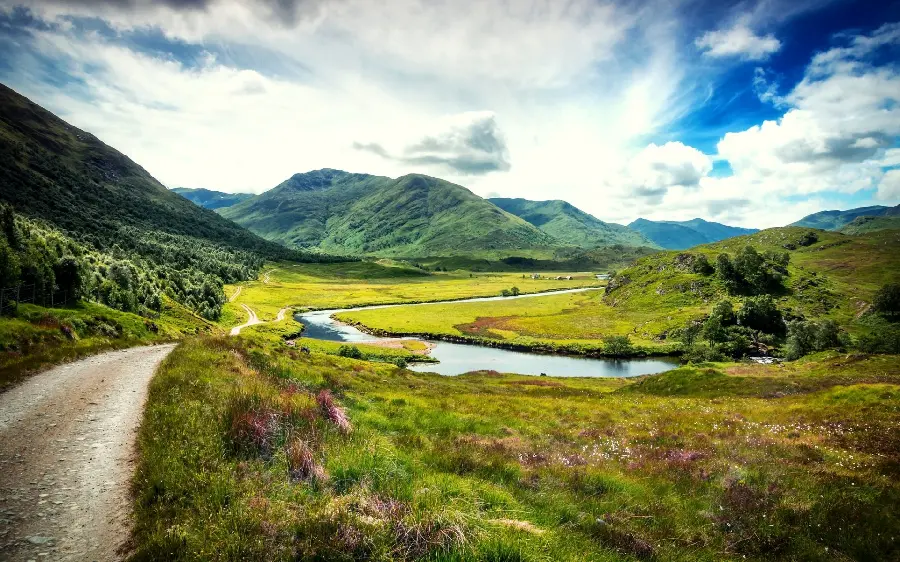 Lush and relaxing nature in a special artistic frame